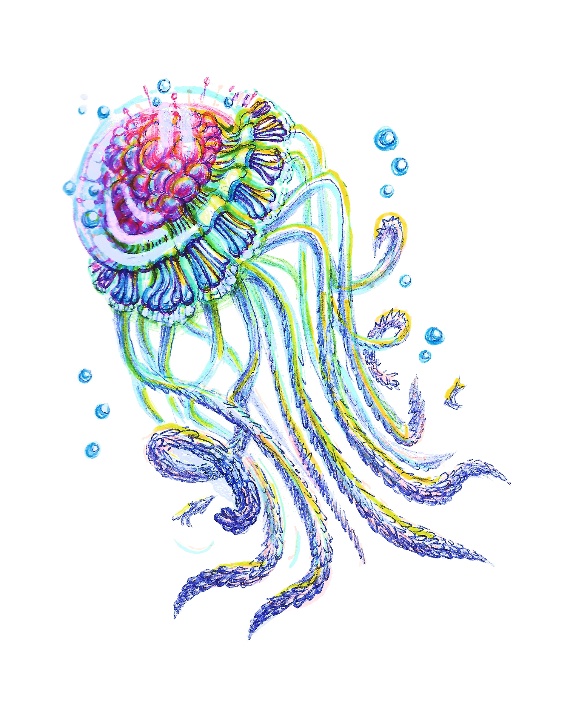 Jellyfish 01