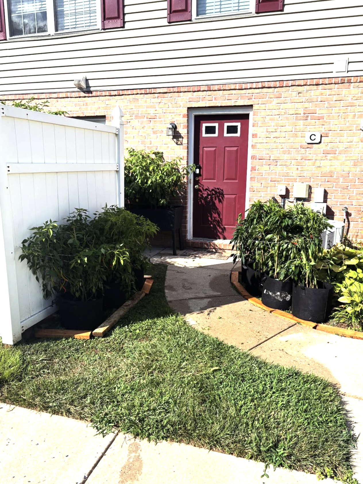 Screenshot 2025-09-23 at 11.24.37 PM.png