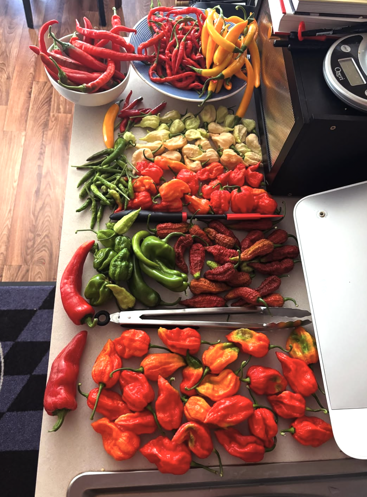 Screenshot 2025-09-23 at 11.26.48 PM.png