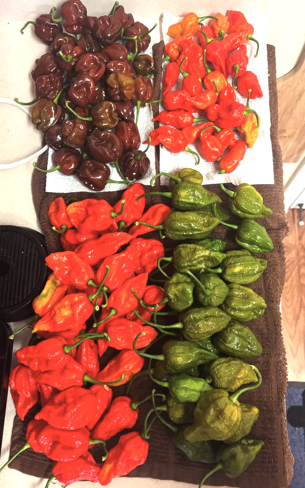 Screenshot 2025-09-23 at 11.26.58 PM.png