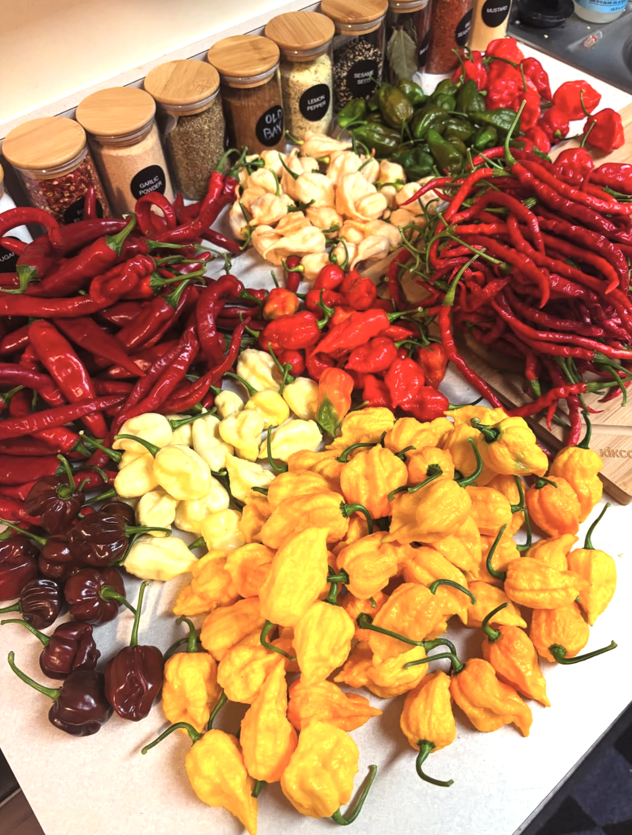 Screenshot 2025-09-23 at 11.28.01 PM.png