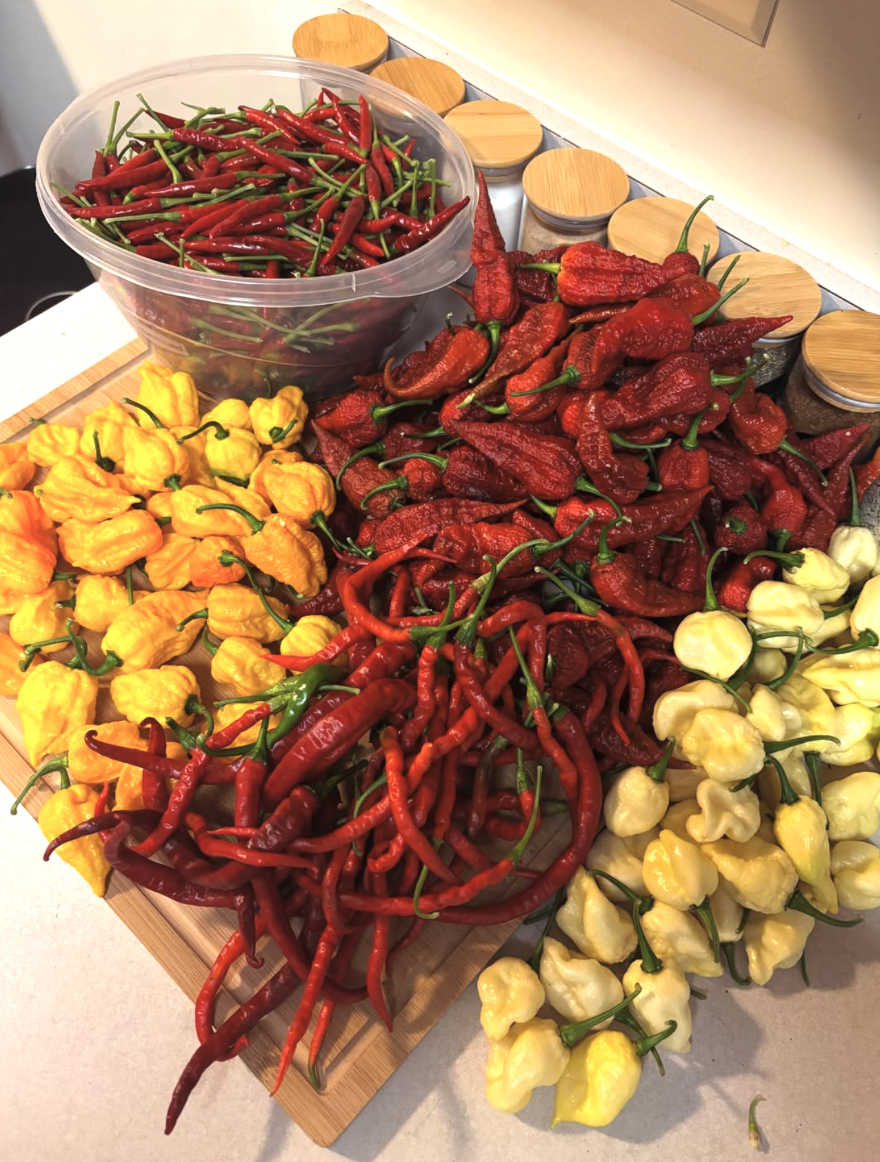 Screenshot 2025-09-23 at 11.28.14 PM.png