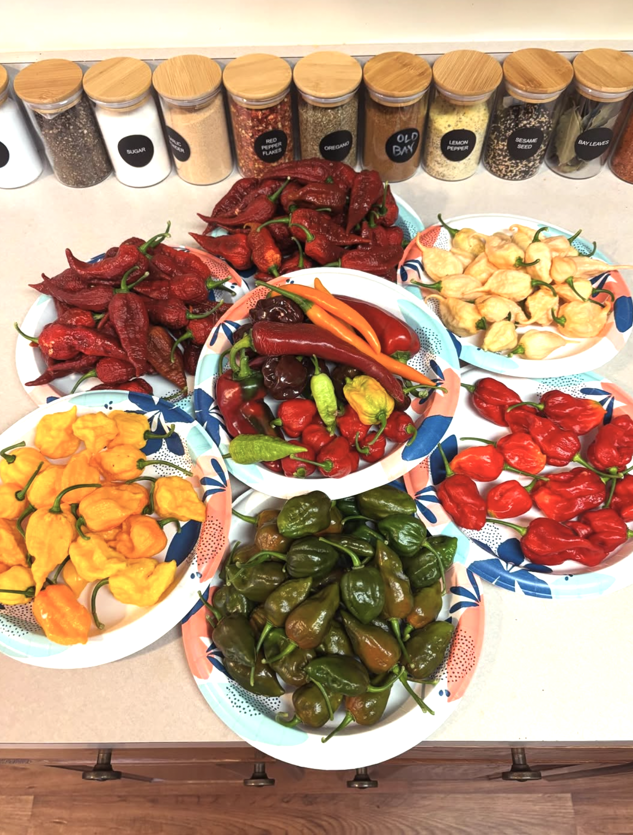 Screenshot 2025-09-23 at 11.28.30 PM.png