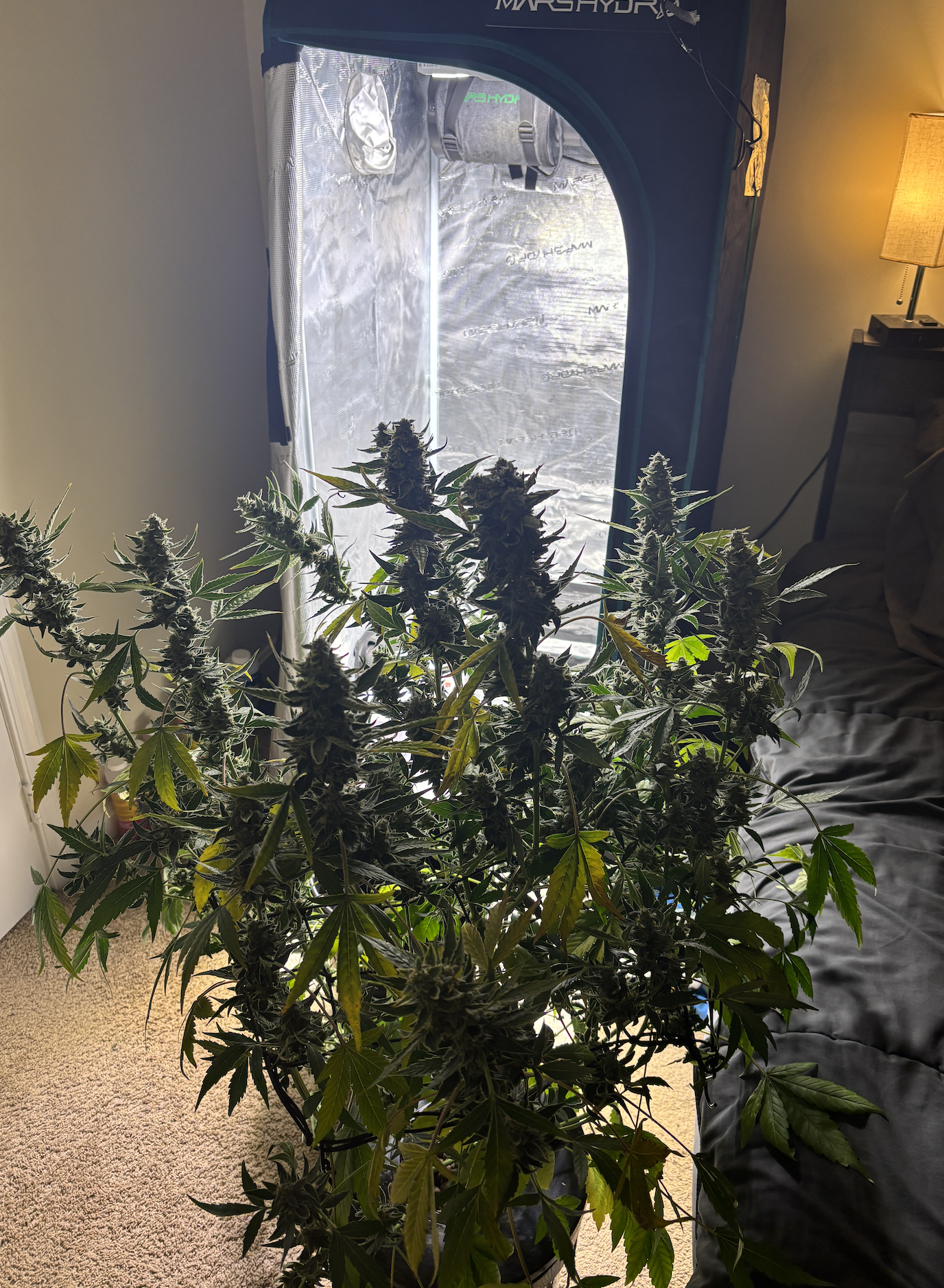 Screenshot 2026-01-04 at 7.39.52 PM.png