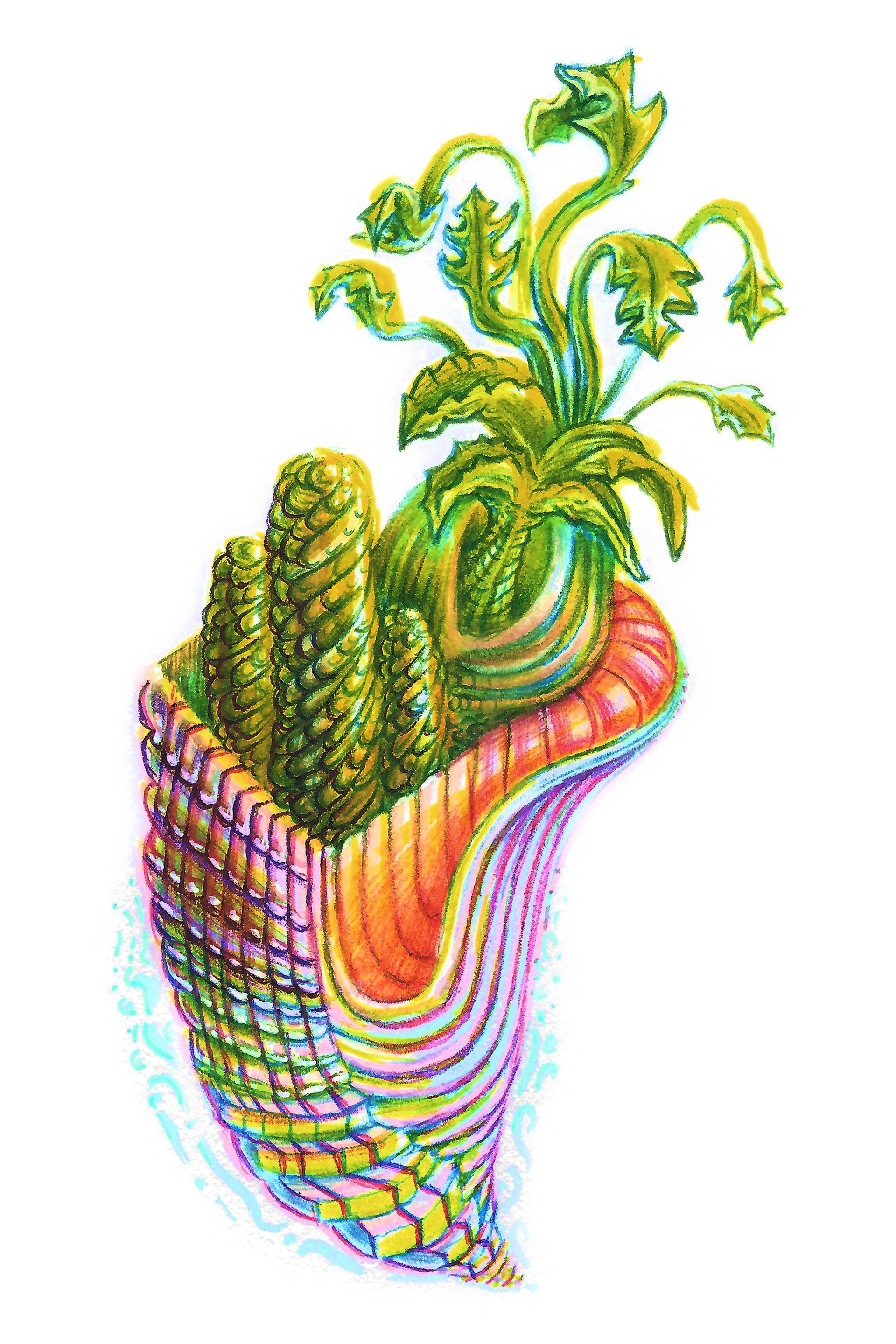 Xerophyte 01