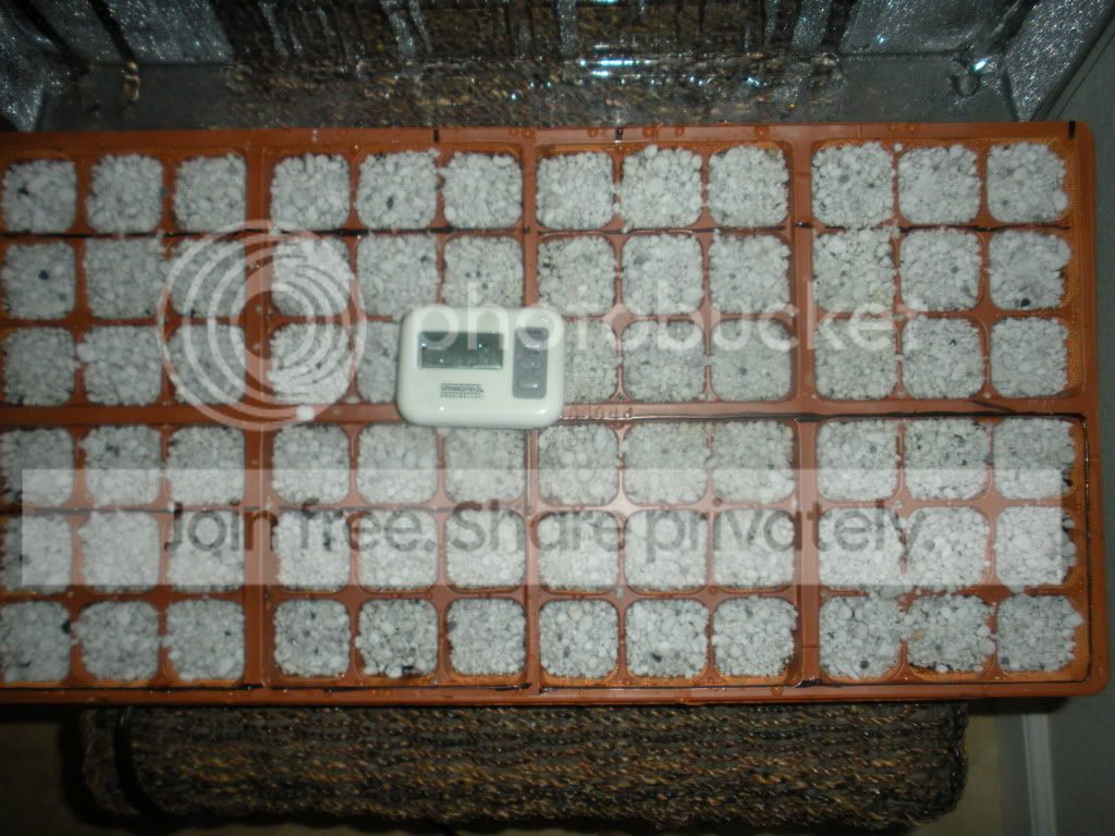 DSCN1534.jpg