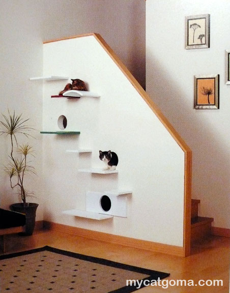 cat-house-02.jpg