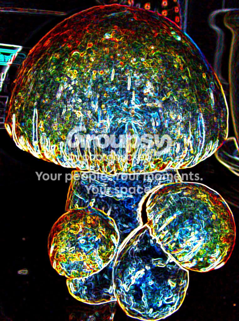 DSC00061copy.jpg