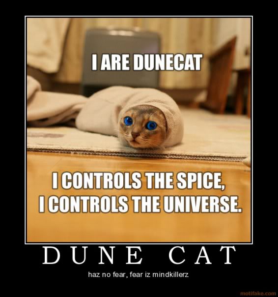 Dune_cat.jpg