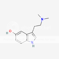 bufotenine.png