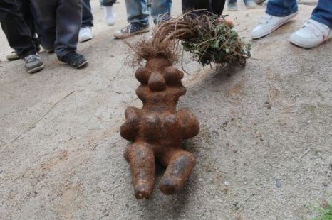 knotweed.jpg