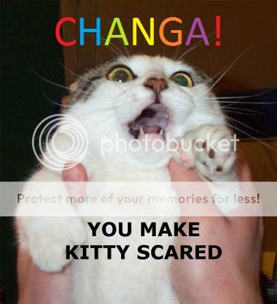 you-make-kitty-scared.jpg