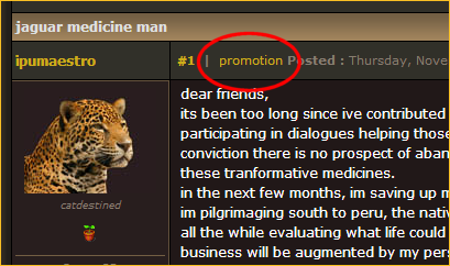 promote_001.png