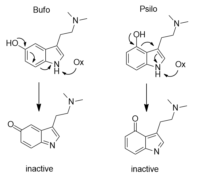 Psilo_and_Bufo_oxidation.png