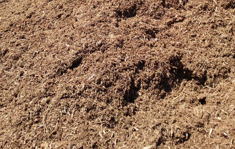 pine-bark-mulch.jpg