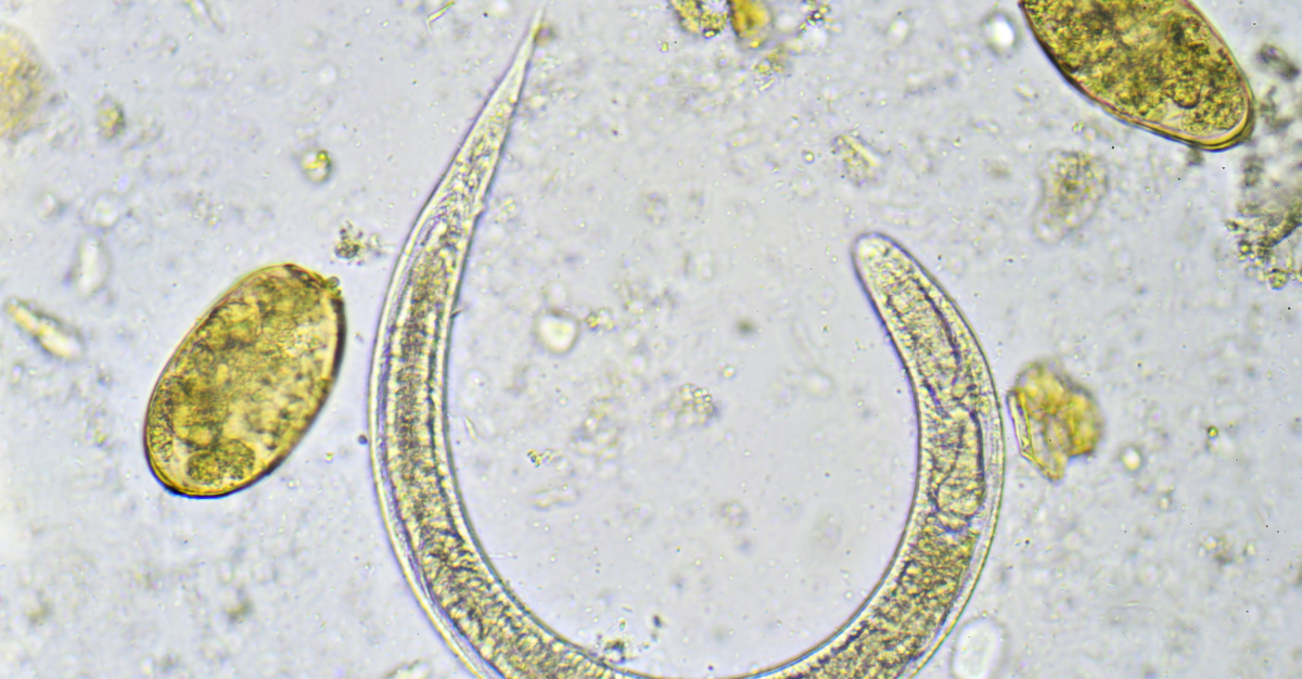 bestlifefunctionalmedicine.com