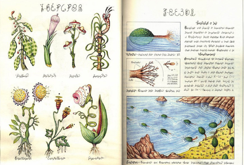 codex-seraphinianus1.jpg