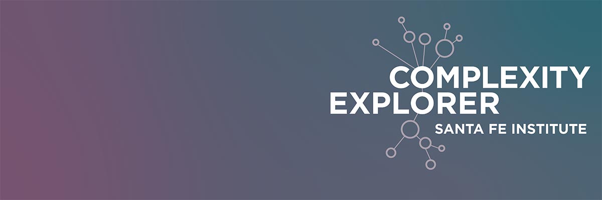 www.complexityexplorer.org