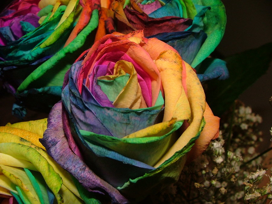 Psychedelic_Roses_by_DancesSoSexy.jpg