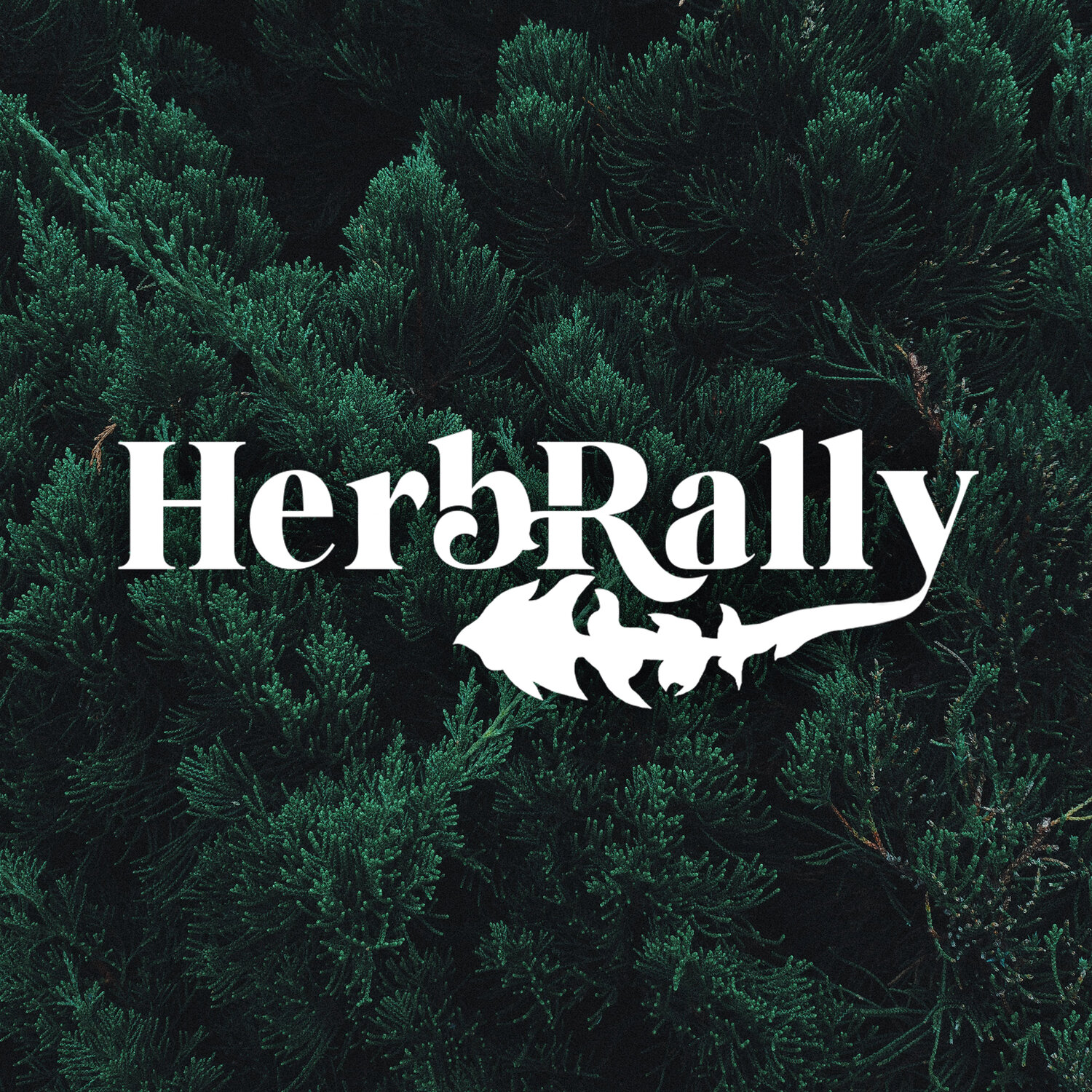 www.herbrally.com