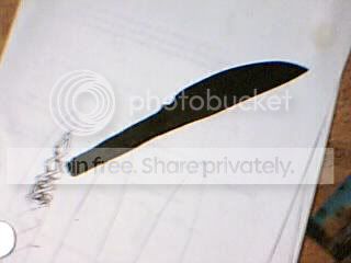 Picture42.jpg