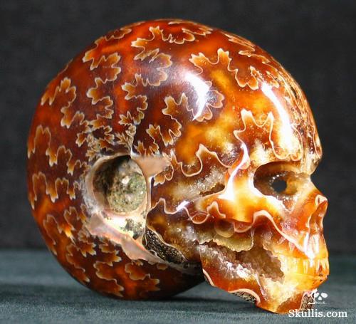 Ammonite-Fossil-Crystal-Skull-03.jpg