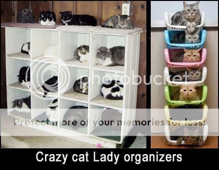 catladyorganizers_zps7ed47755.jpg