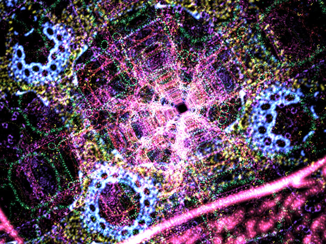 iacopoapps.appspot.com