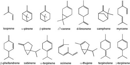 terpenes-sm.jpg