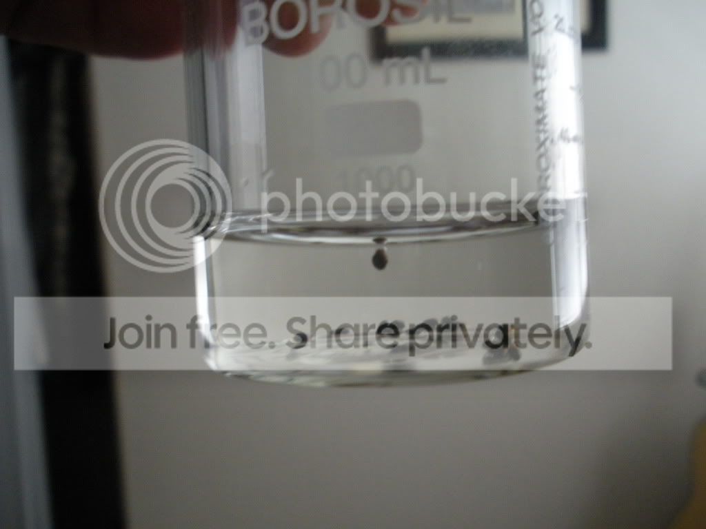 DSCN1509.jpg