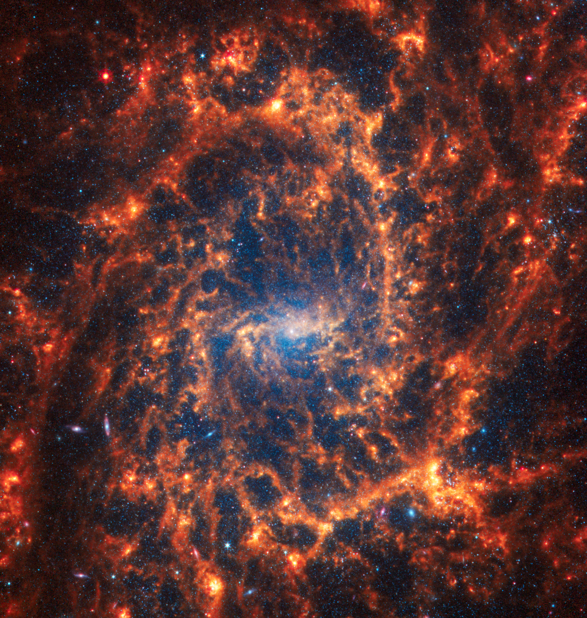 STScI-01HMA5J78D03XJWR62BBZ2F05N.png