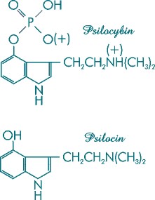 hofmannmolecule.jpg