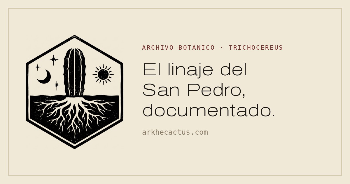www.arkhecactus.com