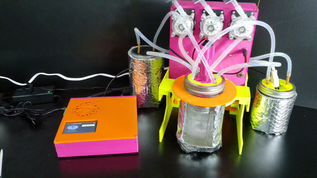 fourthievesvinegar.org