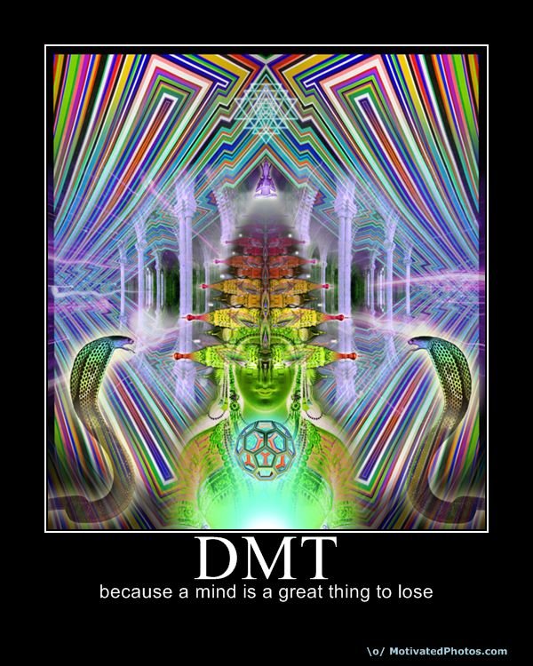 DMT_9de97c_2387621.jpg