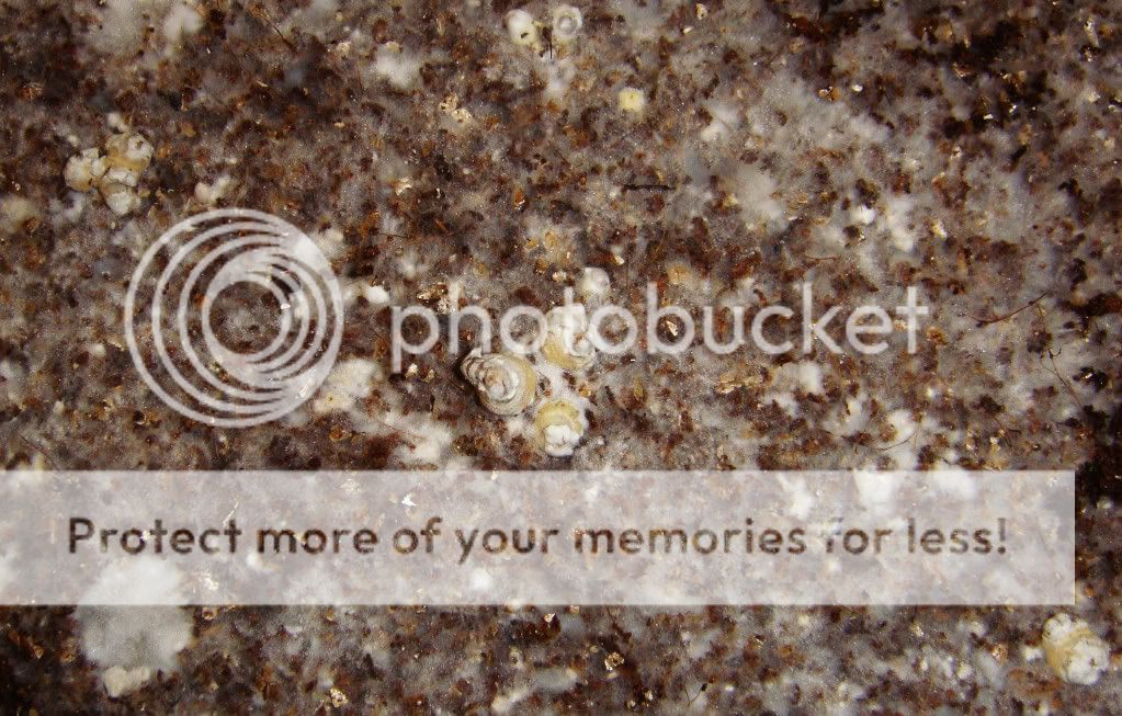 DSC00015copy.jpg
