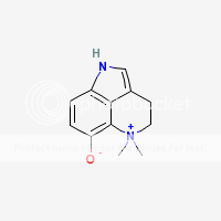 Dehydrobufotenine-1.png