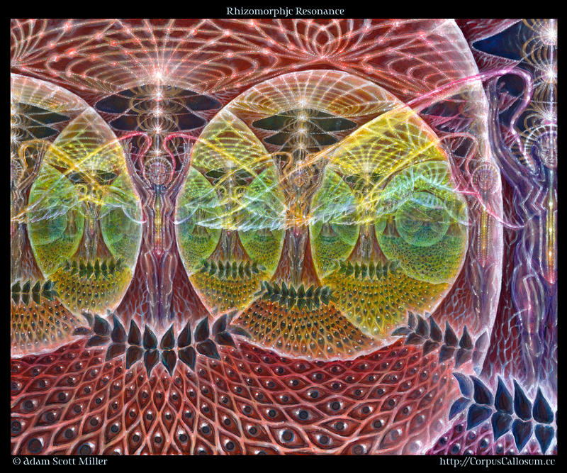 Rhizomorphic_Resonance_by_CorpusCallosum.jpg