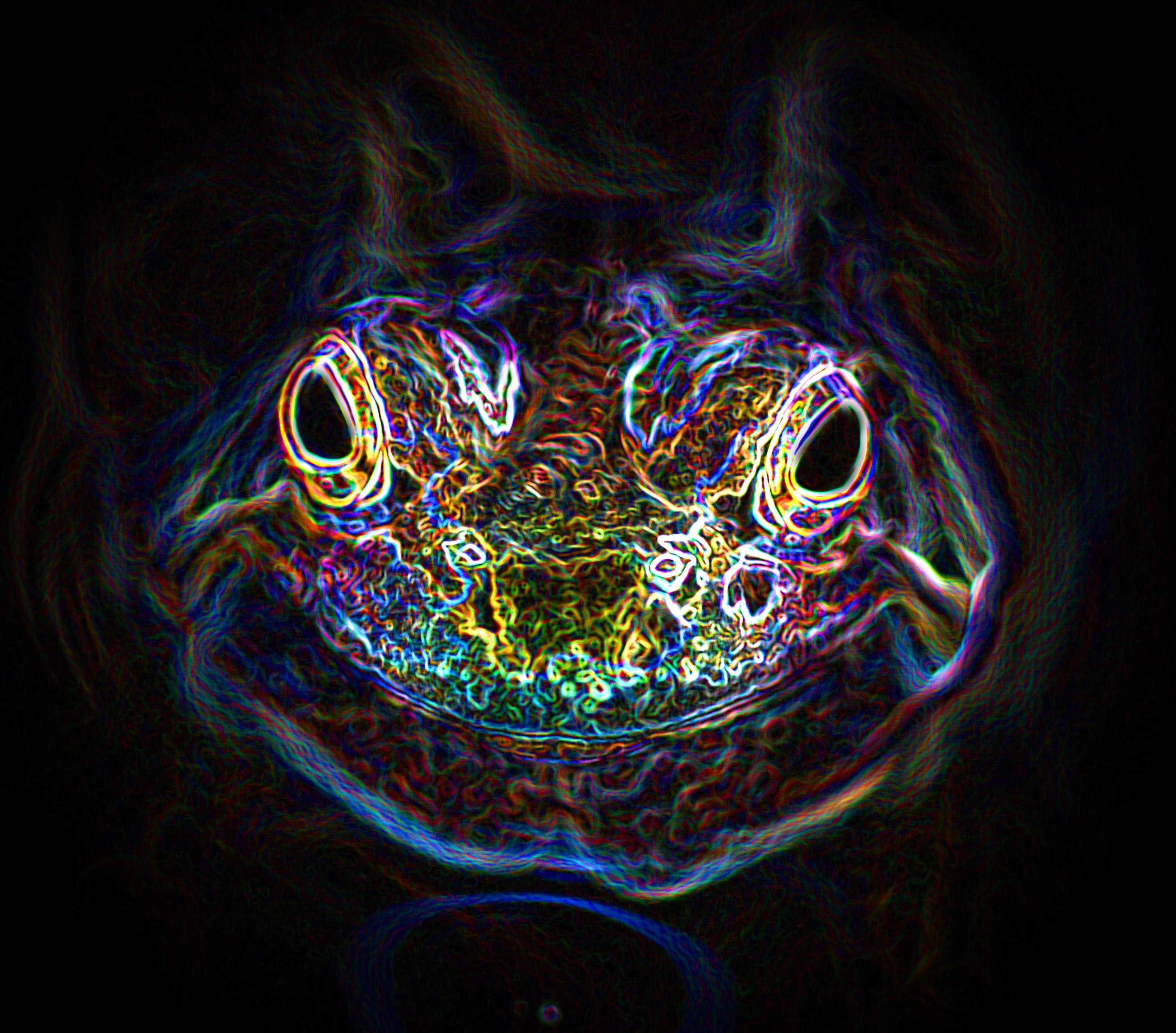 psychedelic_frog_by_tripper67-d3bp1vj.jpg