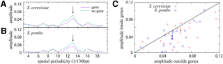 journals.plos.org