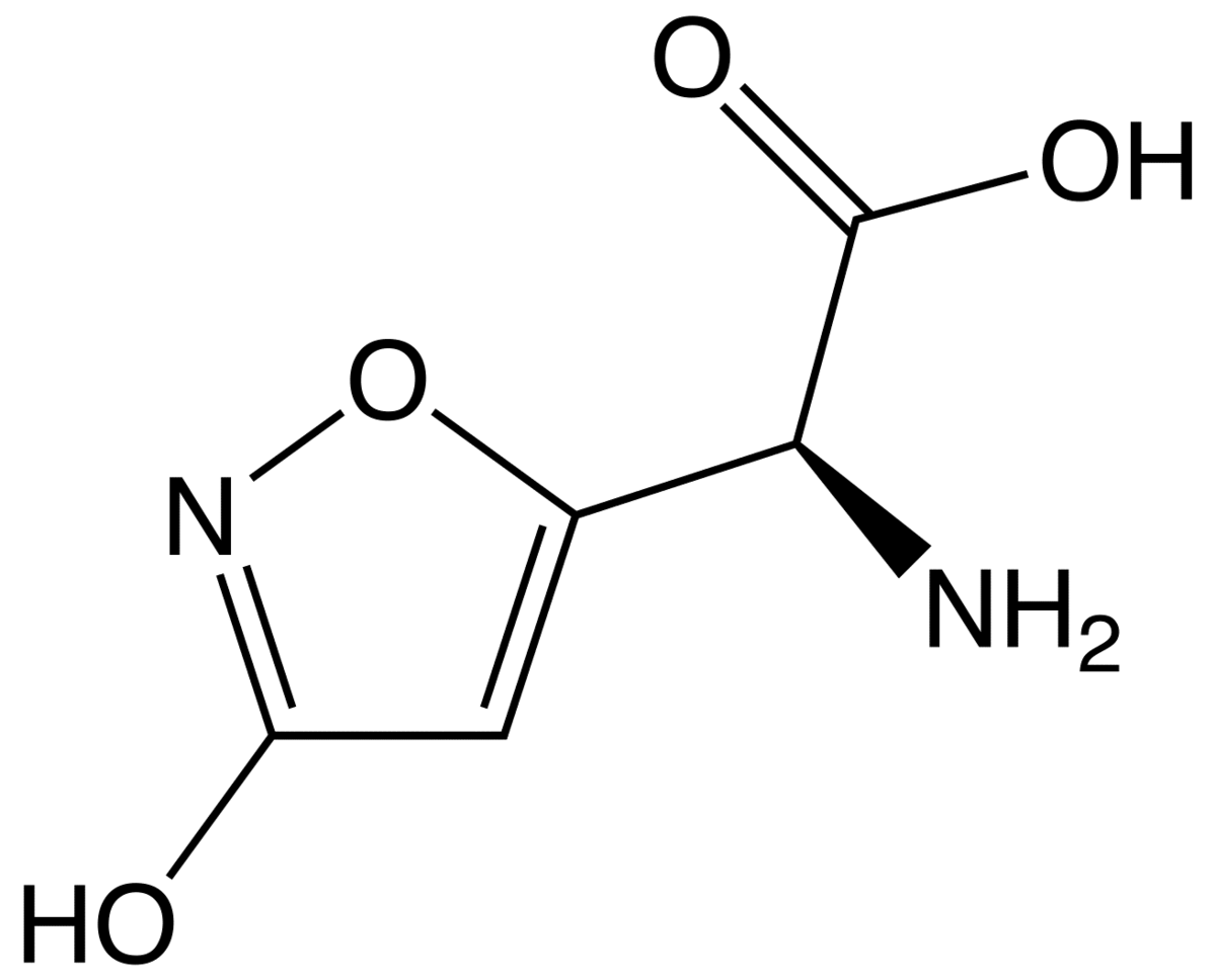 1200px-Ibotenic_acid2.png