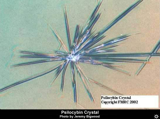 psilocybin_crystal1.jpg
