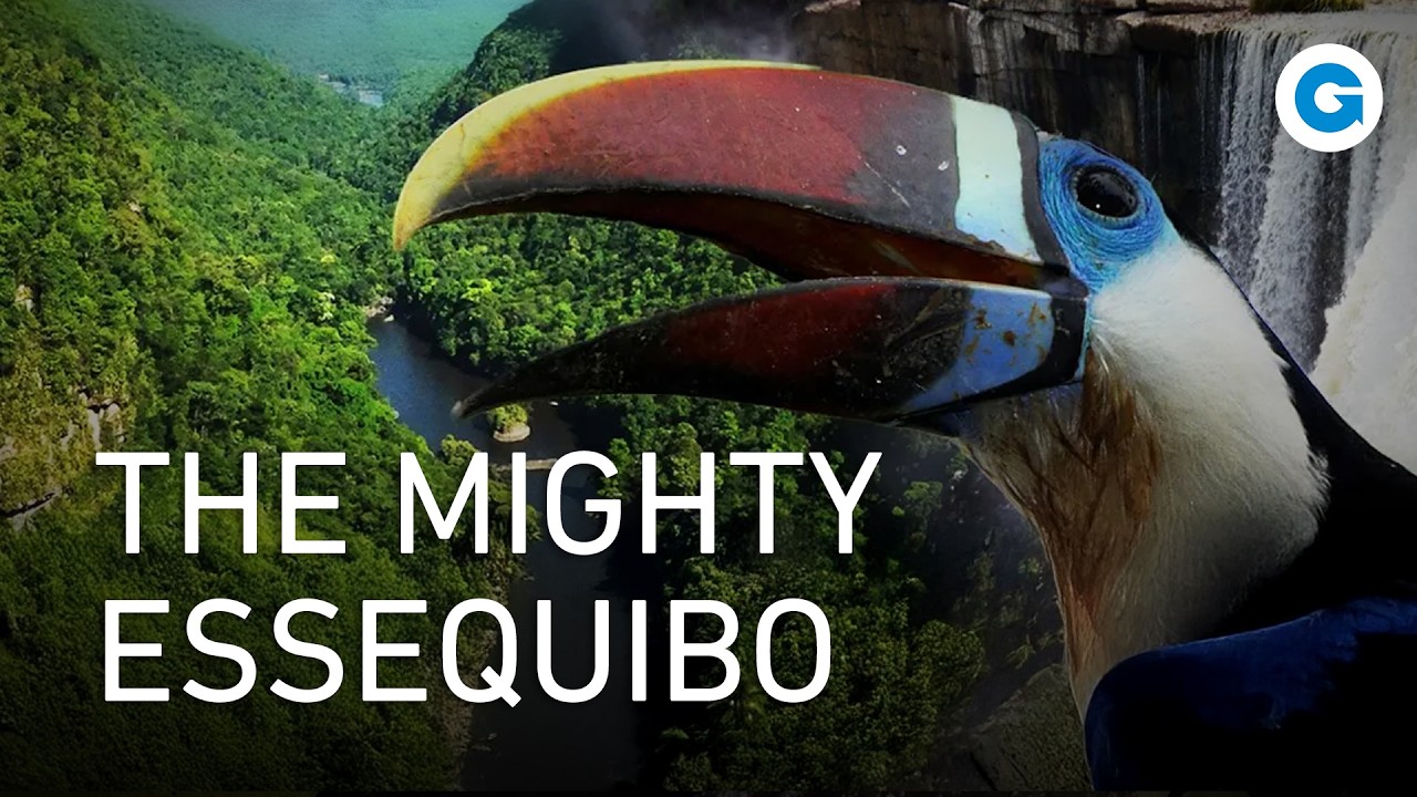 topdocumentaryfilms.com