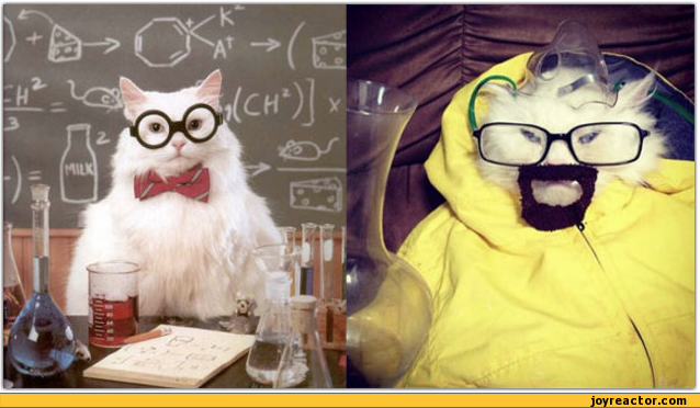 chemistry-cat-Breaking-Bad-tv-shows-tv-564659.png