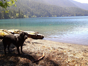 yungdrugg.bandcamp.com