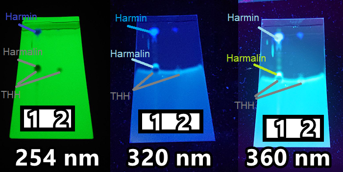 Harmalas-Beschriftet_-_Korrektur.png