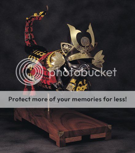 catarmorsamurai_zpsd369f8b1.jpg