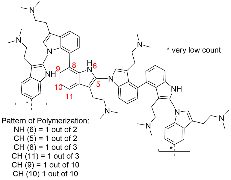 Polymer_Pattern_Final.png