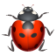 Lady beetle :lady_beetle: 🐞