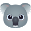 🐨